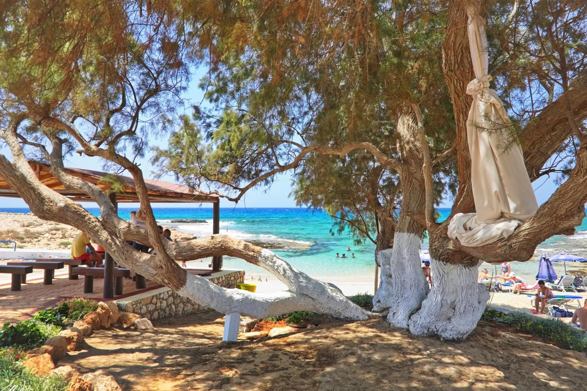 Sea Pearl Beachfront Villas - Breeze Ayia Napa Exteriör bild